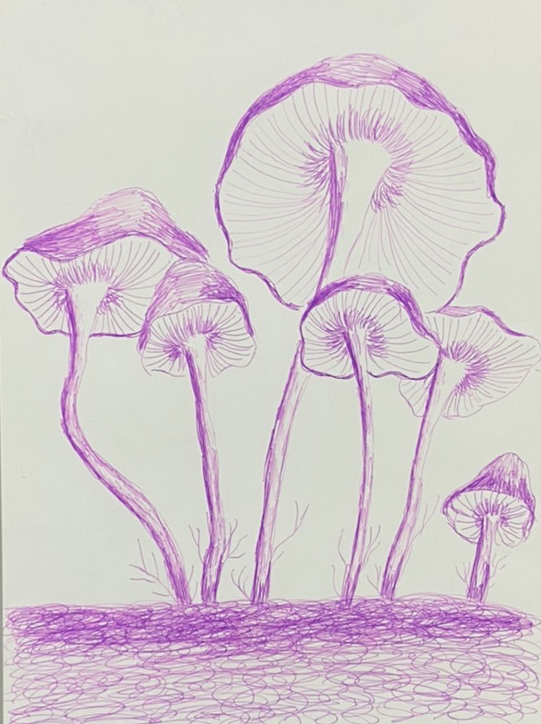 雙十 曾奕瑄 11歲 蕈菇